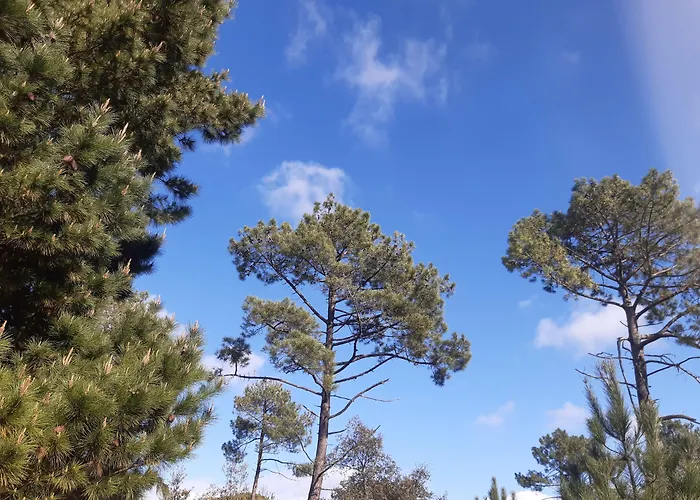 Cale 32 - D'hôtes Alojamento de Acomodação e Pequeno-almoço Saint-Jean-de-Monts